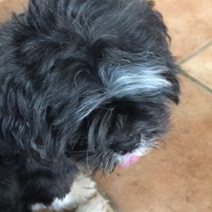 Meet your Posher, Carlos